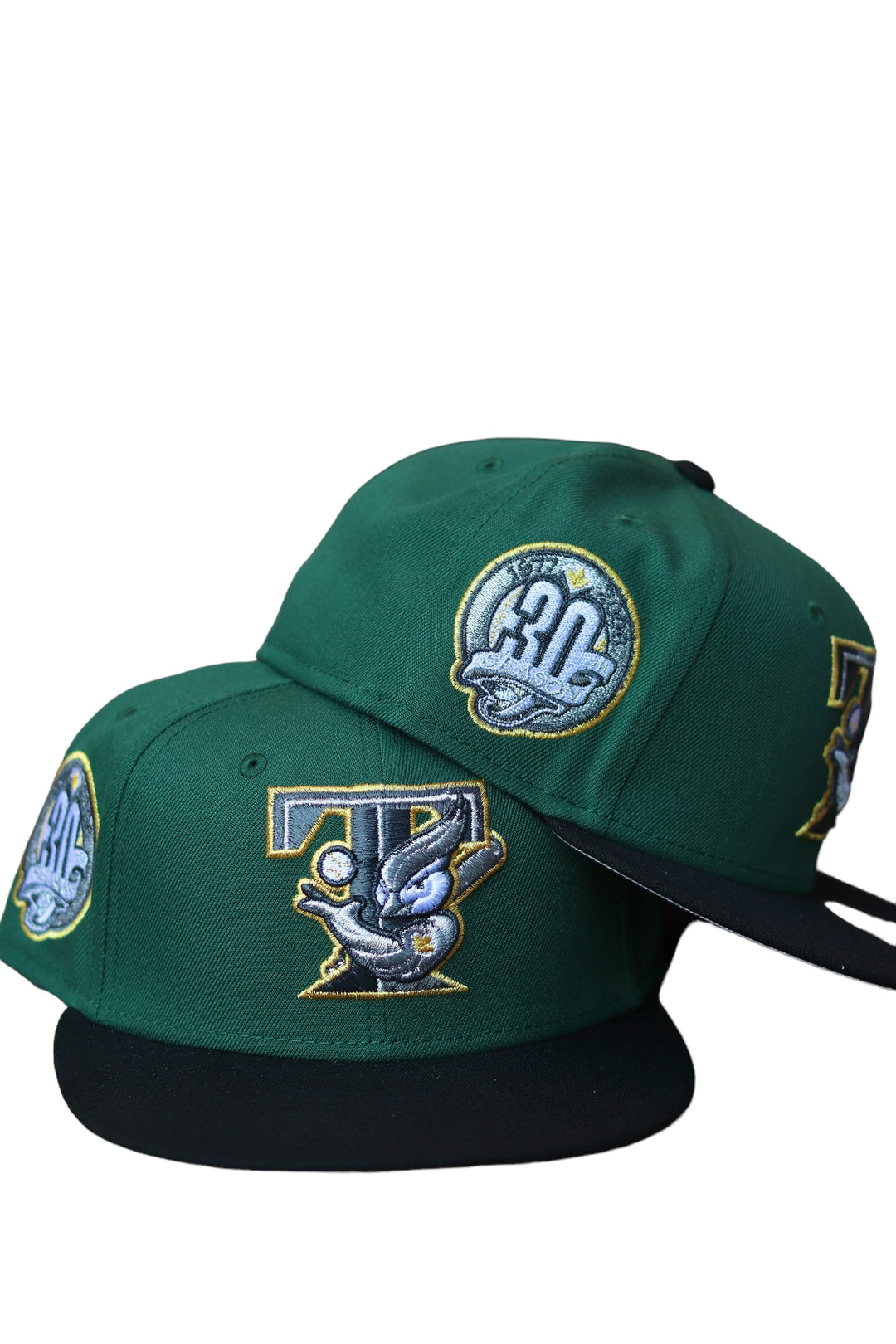 Toronto Blue Jays 30TH Season